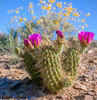 photo thumbnail #3