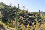 photo thumbnail #7