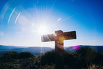 photo thumbnail #1