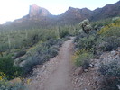 photo thumbnail #1