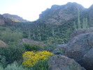 photo thumbnail #3