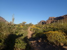 photo thumbnail #4