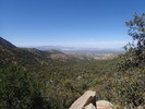 photo thumbnail #1