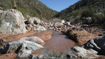 photo thumbnail #15