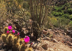 photo thumbnail #5