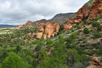 photo thumbnail #6
