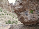 photo thumbnail #13
