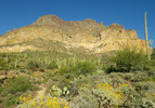 photo thumbnail #5