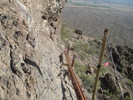 photo thumbnail #5