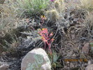 photo thumbnail #7