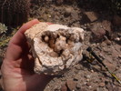photo thumbnail #9