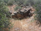 photo thumbnail #12