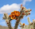 photo thumbnail #3