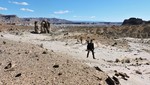 photo thumbnail #6