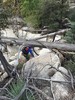photo thumbnail #9