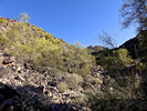 photo thumbnail #3