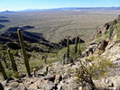 photo thumbnail #8