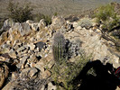photo thumbnail #11