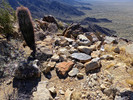 photo thumbnail #12