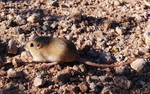 photo thumbnail #2