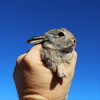 photo thumbnail #3
