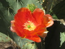 photo thumbnail #3