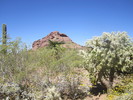 photo thumbnail #6