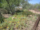 photo thumbnail #14