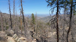 photo thumbnail #6