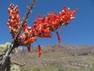 photo thumbnail #8