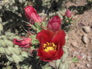 photo thumbnail #9