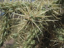 photo thumbnail #11