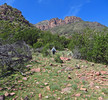 photo thumbnail #7