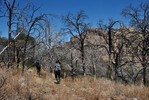 photo thumbnail #2