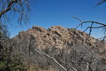 photo thumbnail #3