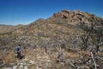 photo thumbnail #5