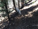 photo thumbnail #11