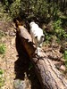 photo thumbnail #12