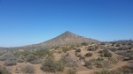 2016-04-03 :2: Brown
