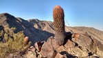 photo thumbnail #2