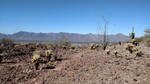 photo thumbnail #3