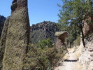 photo thumbnail #8