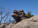 photo thumbnail #14