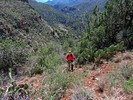 photo thumbnail #8