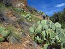 photo thumbnail #10