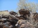 photo thumbnail #2