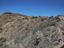 photo thumbnail #8