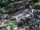 photo thumbnail #13