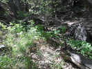photo thumbnail #14