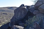 photo thumbnail #8